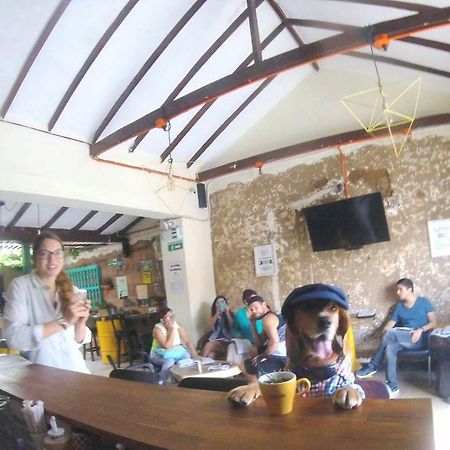 Panela Medellin Hostel ภายนอก รูปภาพ