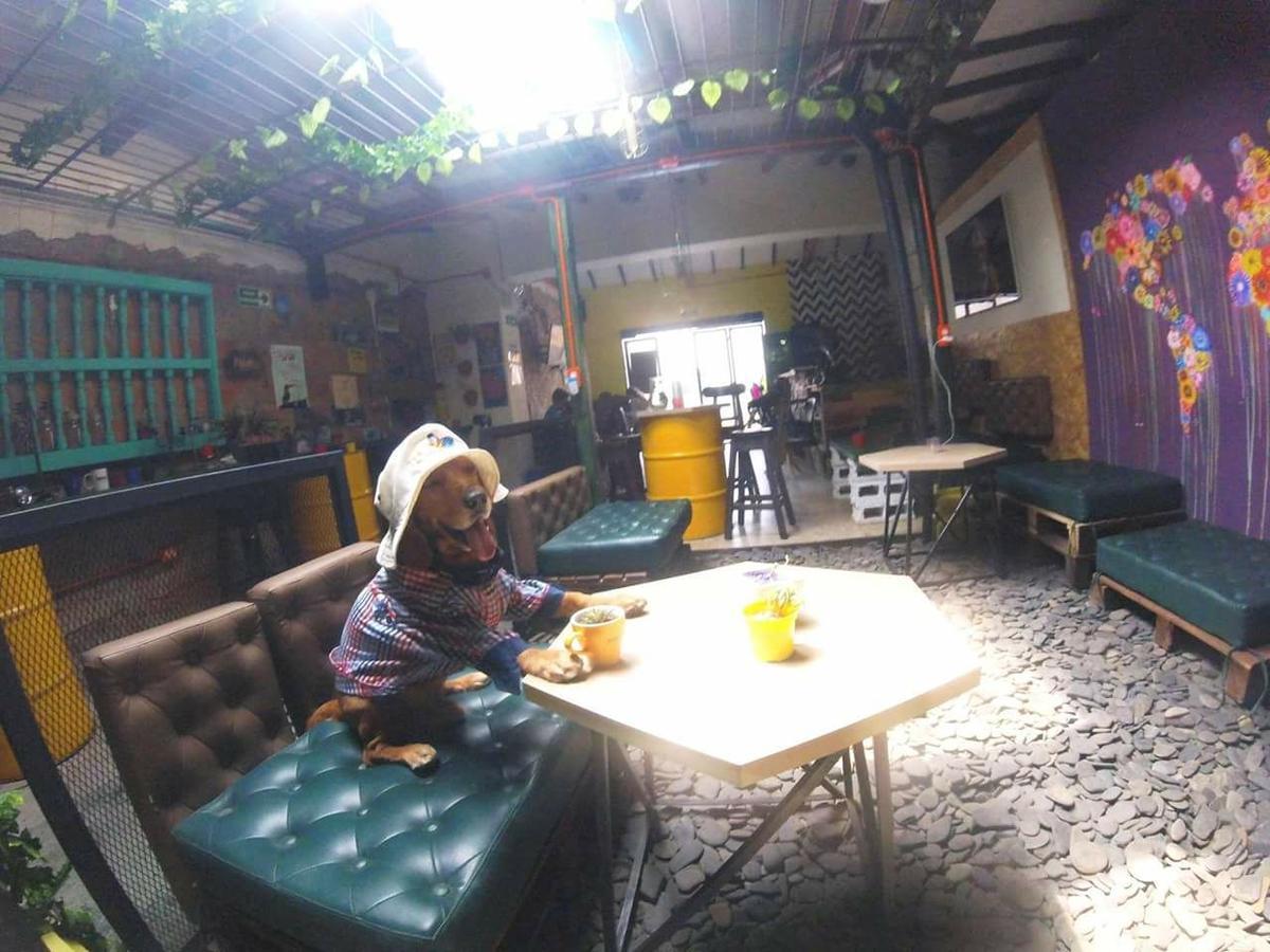 Panela Medellin Hostel ภายนอก รูปภาพ