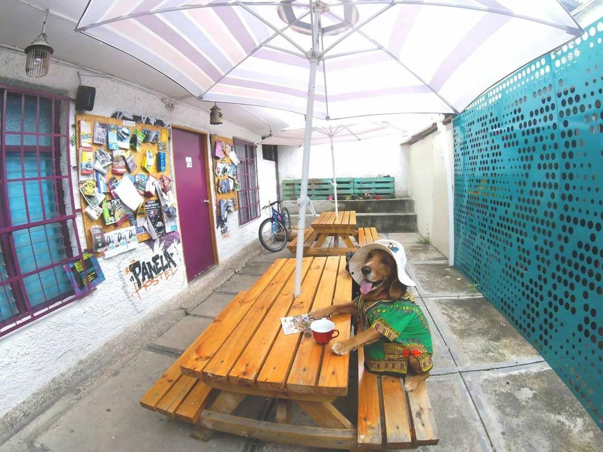 Panela Medellin Hostel ภายนอก รูปภาพ