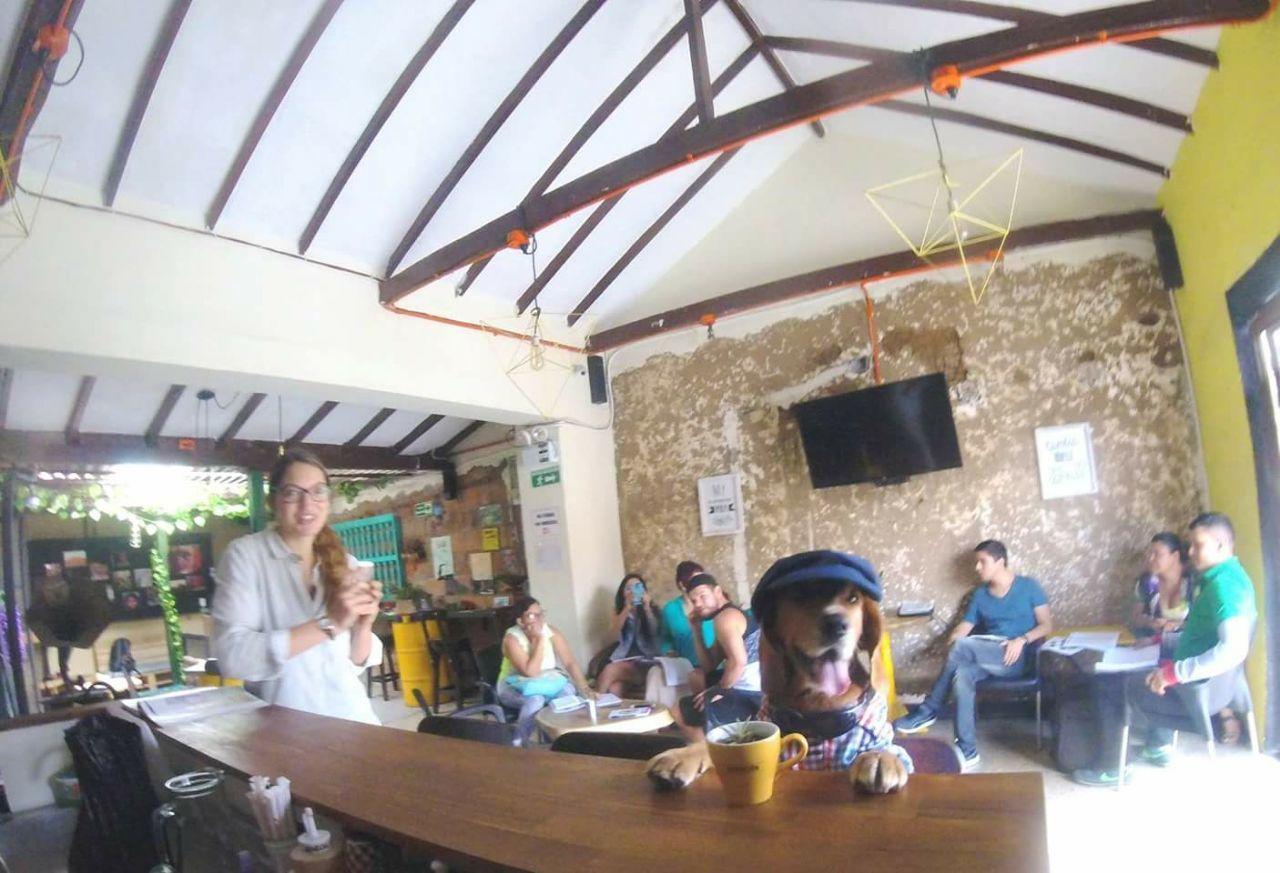 Panela Medellin Hostel ภายนอก รูปภาพ